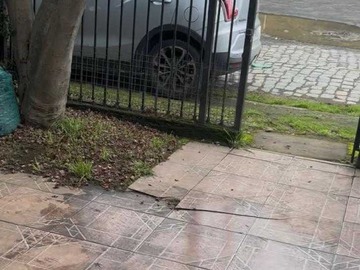 Imagen 10