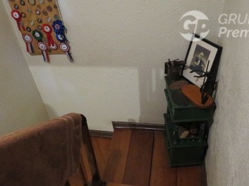 Imagen 19
