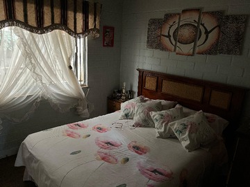 Imagen 12