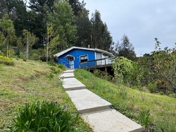 Imagen 4