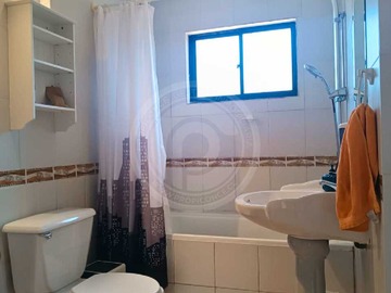 Imagen 22
