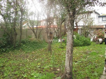 Imagen 11