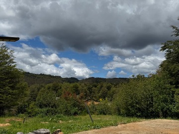 Imagen 19