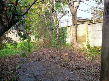 Imagen 6