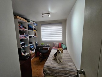 Imagen 10