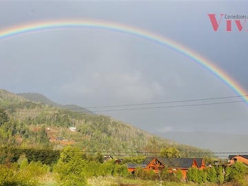 Imagen 20