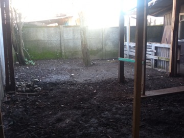 Imagen 11