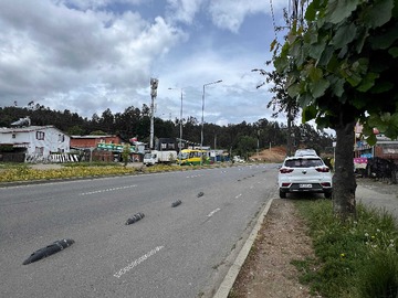 Venta / Casa / Valdivia