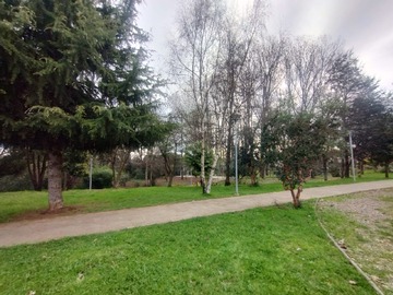 Imagen 11