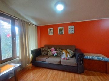 Imagen 13