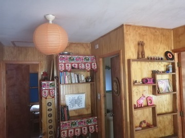 Imagen 13