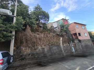 Imagen 12
