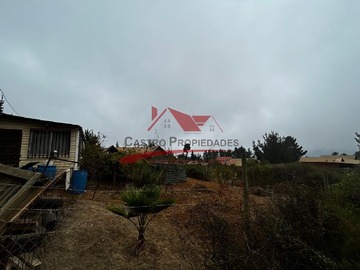 Imagen 5