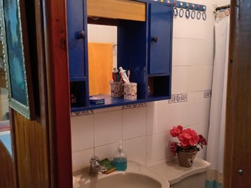 Imagen 6