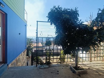 Imagen 19