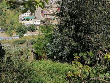 Imagen 21
