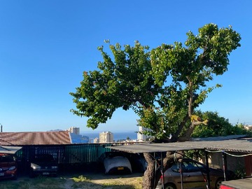 Venta / Casa / Valparaíso