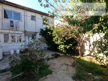 Imagen 7