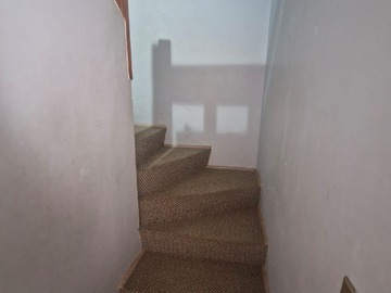 Imagen 15