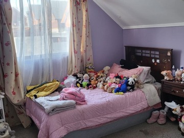 Imagen 6