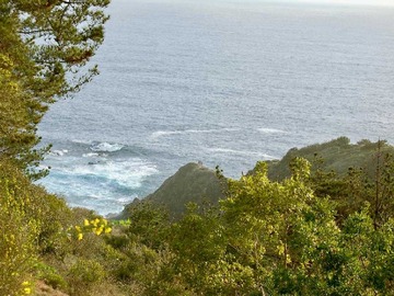 Imagen 8