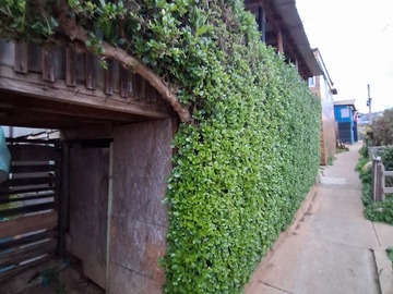 Venta / Casa / Valparaíso