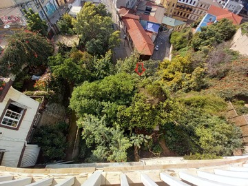 Imagen 8
