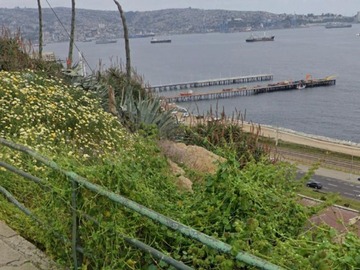 Imagen 6