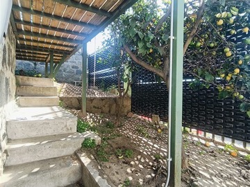 Imagen 21