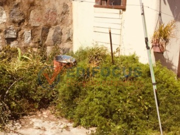 Imagen 7
