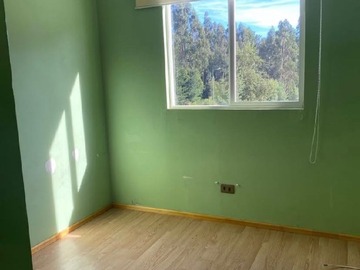 Imagen 10