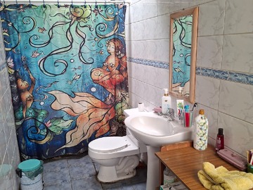 Imagen 4