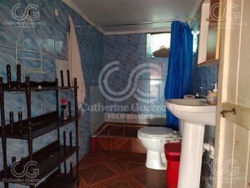 Imagen 7