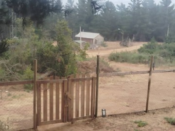 Imagen 12