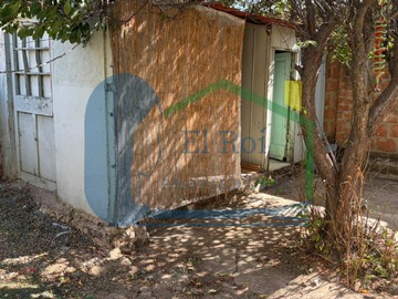 Imagen 20