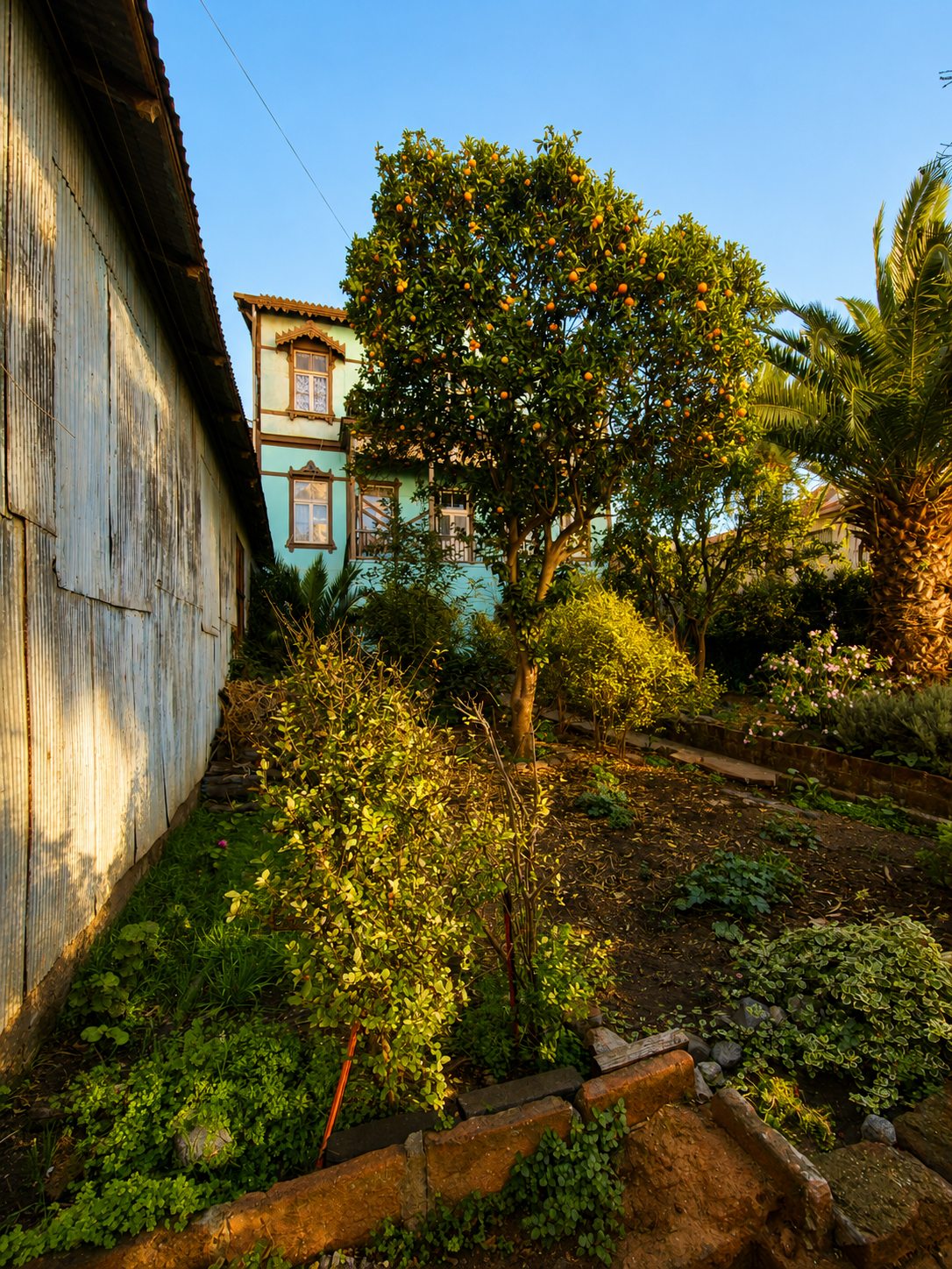 Jardín Frutal