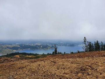 Venta / Casa / Vichuquén