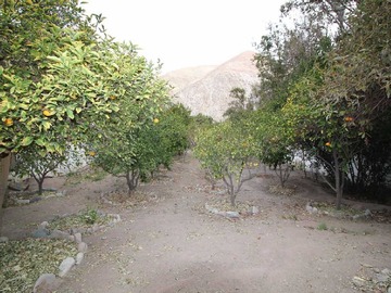 Imagen 15