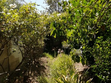 Jardin norte