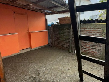 Imagen 4