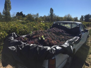 Venta / Casa / Villa Alegre