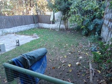 Imagen 7