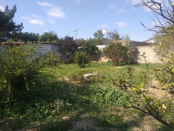 Imagen 21
