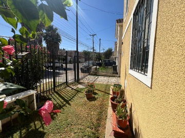 Imagen 4