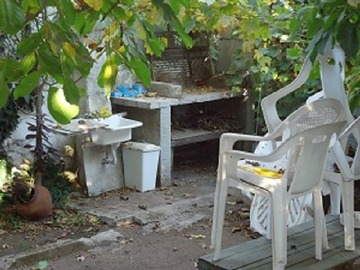 Imagen 8