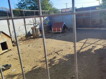 Imagen 20