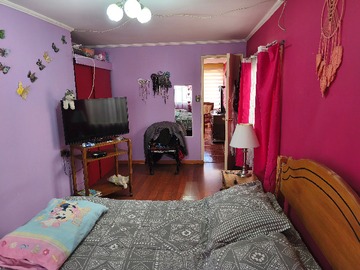 Imagen 13