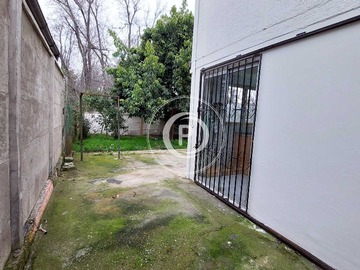 Imagen 11