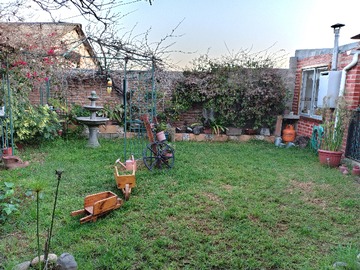 Imagen 8