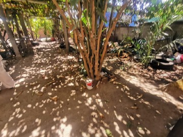 Imagen 10